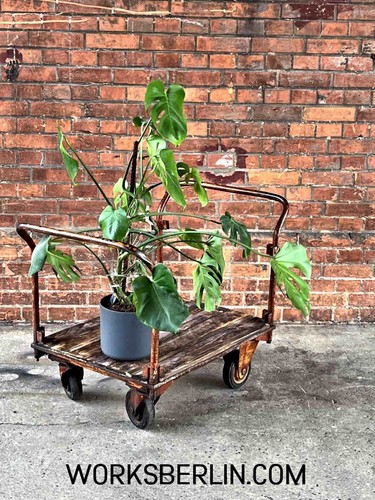 Sale vintage rollwagen - vintage,